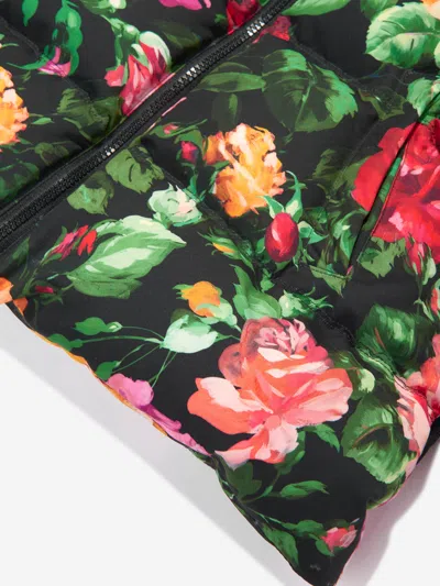 Dolce & Gabbana Rose-print Padded Hooded Jacket In Multicoloured