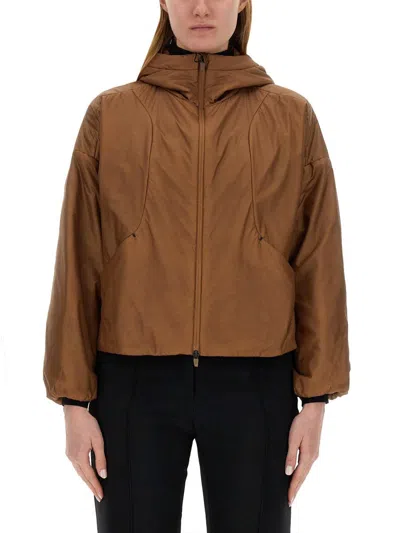 Herno Laminar Woman Jacket Brown Size 8 Polyester In Brown