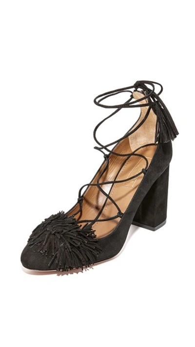 Shop Aquazzura Wild Pumps In Black