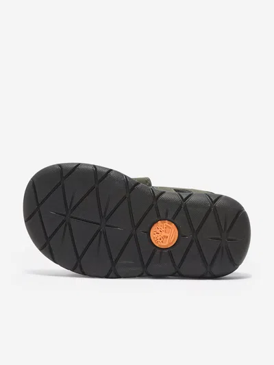 Timberland Boys Perkins Row Backstrap Sandals In Green