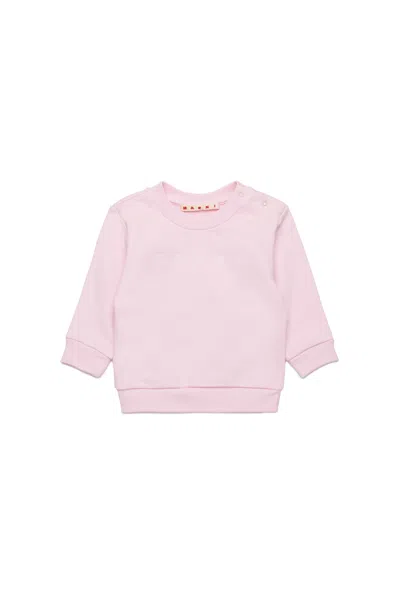 Marni Outline Branded Crew-neck Sweatshirt In Pink