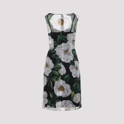 Dolce & Gabbana Women Gardenia Print Silk Chiffon Sheath Dress In Black