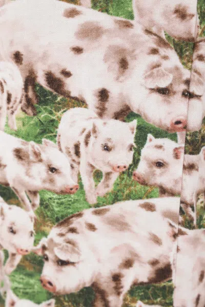 Bless Printed Shorts In White+pink