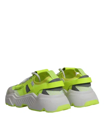 Dolce & Gabbana Multicolor Daymaster Low Top Sneakers Men's Shoes In Multicolor