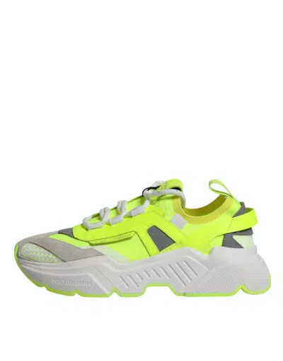 Dolce & Gabbana Multicolor Daymaster Low Top Sneakers Men's Shoes In Multicolor