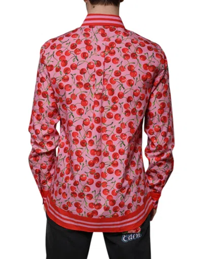 Dolce & Gabbana Pink Cherry Cotton Formal Martini Dress Shirt In Pink