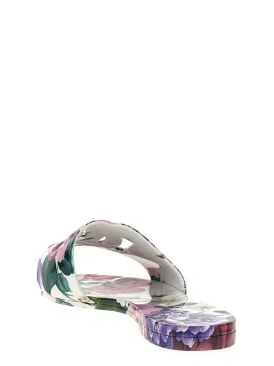 Dolce & Gabbana Bianca Slides