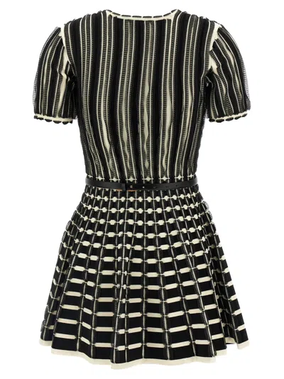 Elisabetta Franchi Viscose Dress With Micro-ruffles