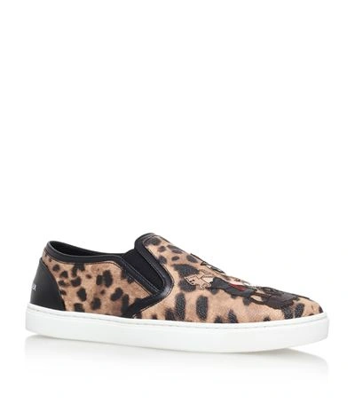 Shop Dolce & Gabbana Designer Leopard Print Skate Slip-ons