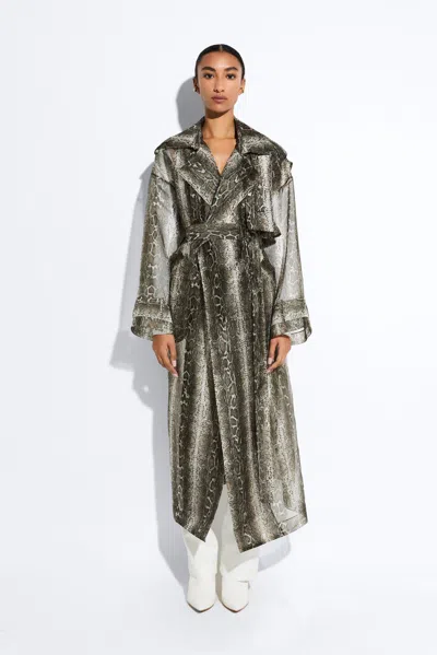Lapointe Snake Organza Double Breasted Trench In Brown Snake