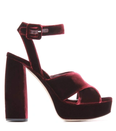 Shop Miu Miu Velvet Platform Sandals In Lordeaux