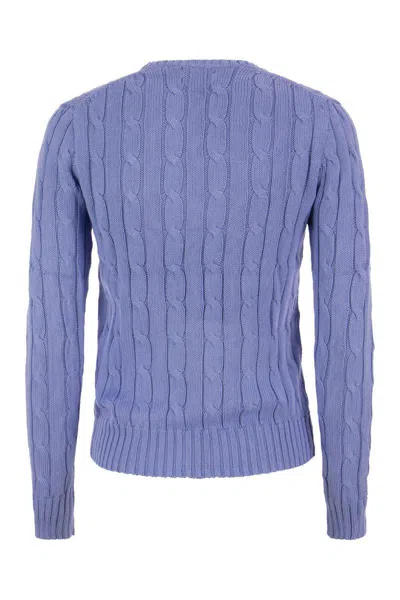 Polo Ralph Lauren Ralph Lauren Sweaters In Blue