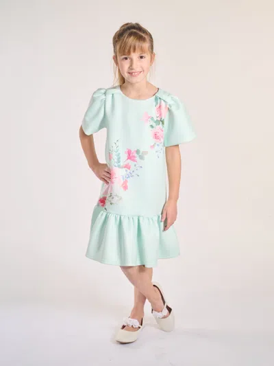 Iame Girls Spring Breeze Dress In Green