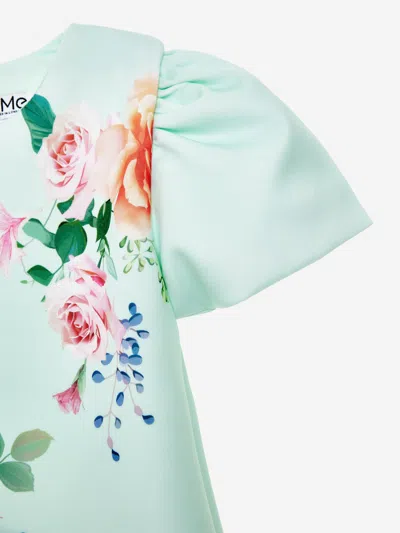 Iame Girls Spring Breeze Dress In Green