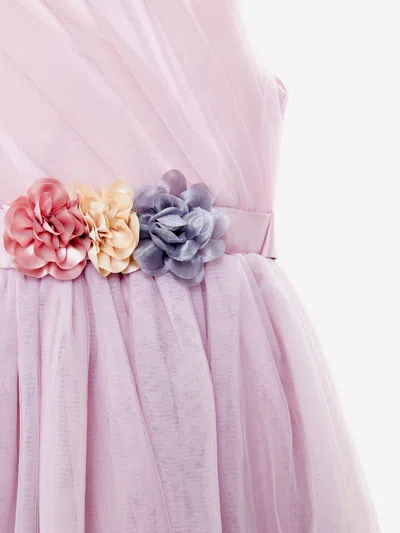 Iame Girls Aurora Belle Dress In Pink