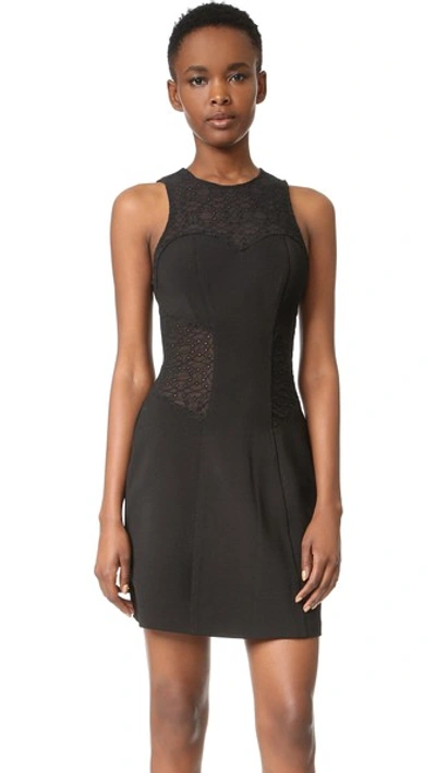 Simkhai 'burlesque' Eyelet Mesh Fit & Flare Dress In Black