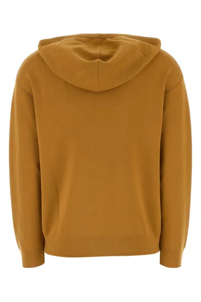 Max Mara Sphinx Jacquard Hooded Sweatshirt With Graphic Print