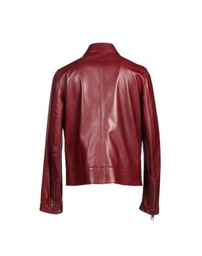 Shop Dolce & Gabbana Man Jacket Burgundy Size 34 Lambskin In Red