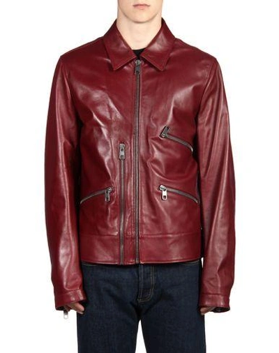 Shop Dolce & Gabbana Man Jacket Burgundy Size 44 Lambskin In Red