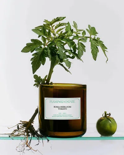 Flamingo Estate Roma Heirloom Tomato Candle
