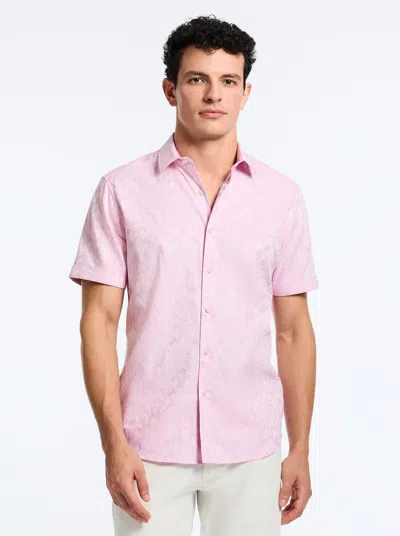 Robert Graham Reid Short Sleeve Button Down Shirt In Pink