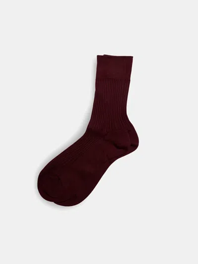 Alex Mill Maria La Rosa Bio Cotton Ribbed Socks In Bordeaux