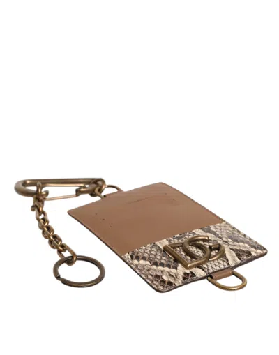 Dolce & Gabbana Brown Exotic Leather Card Holder Dg Logo Plaque Wallet In Brown