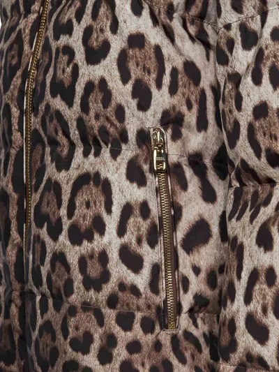 Dolce & Gabbana Down Jacket In Brown