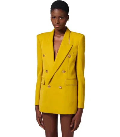 Elisabetta Franchi Jacket