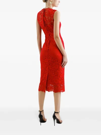 Dolce & Gabbana Calf-length Sheath Dress In Floral Cordonetto Lace