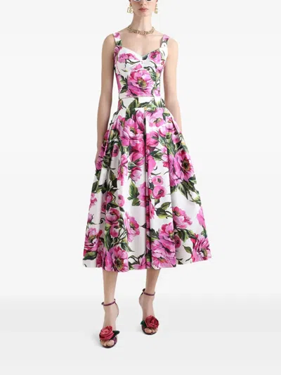 Dolce & Gabbana Womens Peonie Fuxia F.bco Floral-print Cotton Midi Skirt