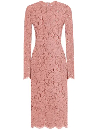 Dolce & Gabbana Women Branded Floral Cardonetto Lace Sheath Dress