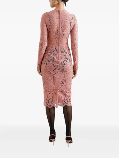 Dolce & Gabbana Women Branded Floral Cardonetto Lace Sheath Dress