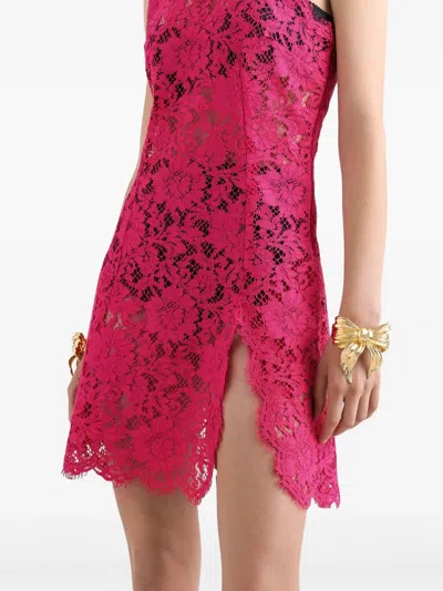 Dolce & Gabbana Short Shocking Pink Lace Dress
