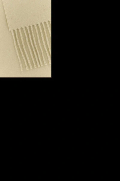 Burberry Women Sand Cashmere Scarf In Brown