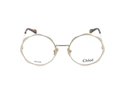 Chloé Ch0185o Women's Chlo�� Eyeglasses