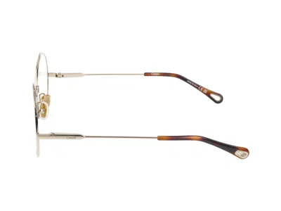 Chloé Ch0185o Women's Chlo�� Eyeglasses