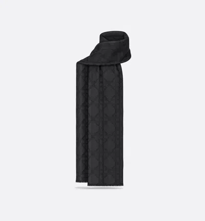 Dior Echarpes Accessories