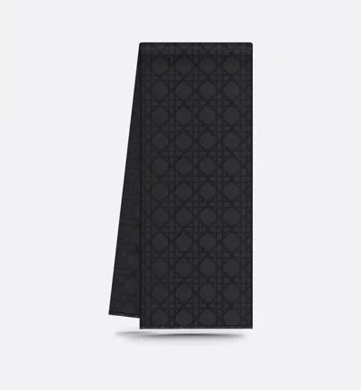 Dior Echarpes Accessories