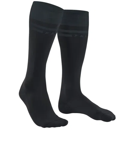 Falke 