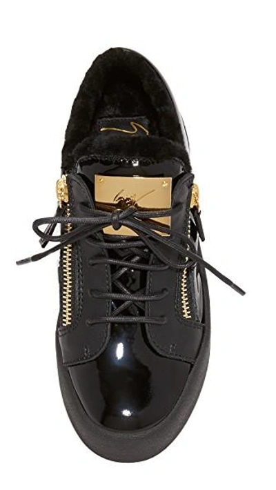 Shop Giuseppe Zanotti Sneakers In Black