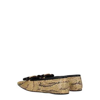 Gucci Ballerine Woman Python Leather Beige