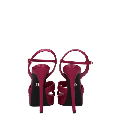 Dolce & Gabbana Dolce&gabbana Sandals Women Leather Fuxia/hibiscus