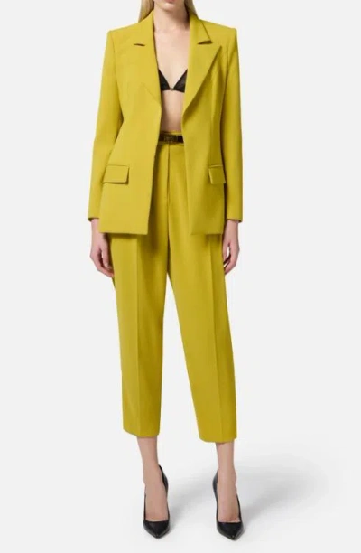 Elisabetta Franchi Dresses In Yellow