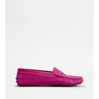 Tod's Gommino Suede Loafers In Pink
