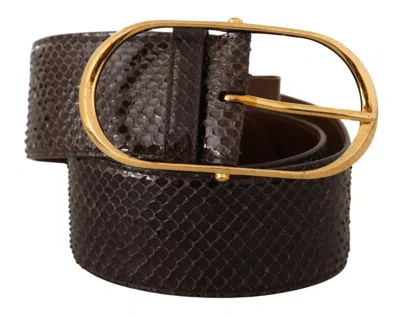 Dolce & Gabbana Elegant Python Leather Belt With Gold Women's Buckle In Brown