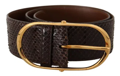 Dolce & Gabbana Elegant Python Leather Belt With Gold Women's Buckle In Brown