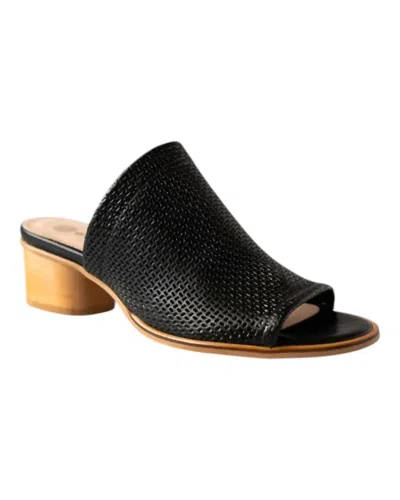 Eric Michael Women's Sevilla Sandals In Black In Black