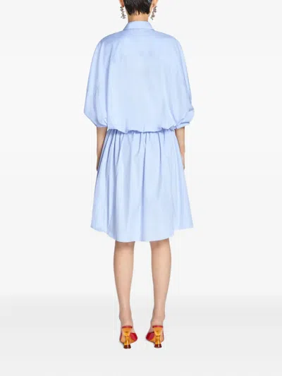 Dries Van Noten Dindi Belted Long-sleeve Shirtdress