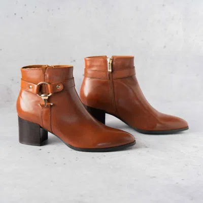 Regarde Le Ciel Women's Ankle Boots In Brown In Brown